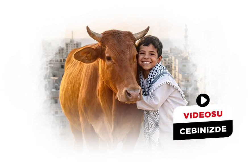 COMP GAZZE COMP GAZZE 1