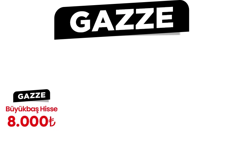 TEXT GAZZE TEXT GAZZE 1